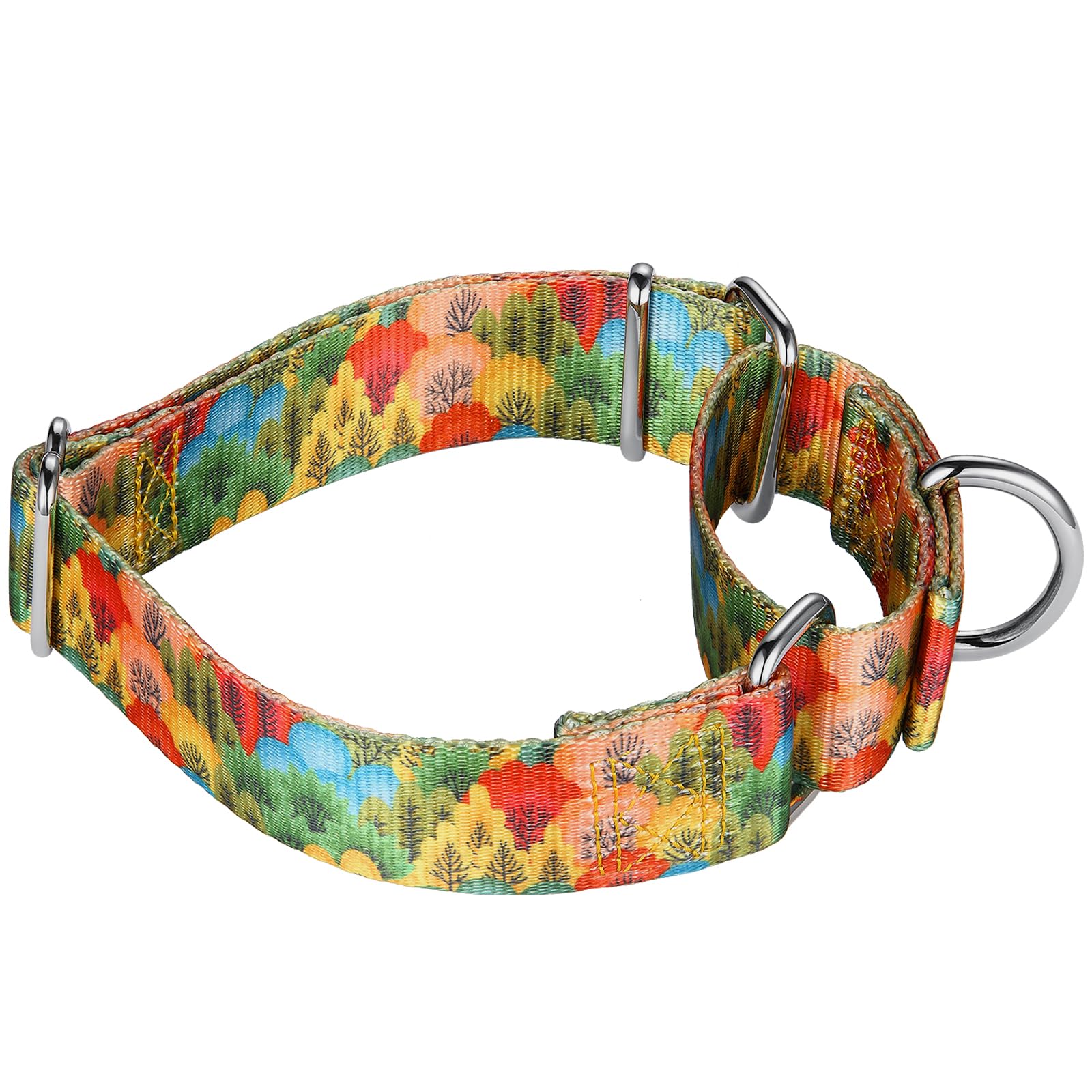 Mikivery Martingale Collar training action shows reliable pressure control during behavior correction.