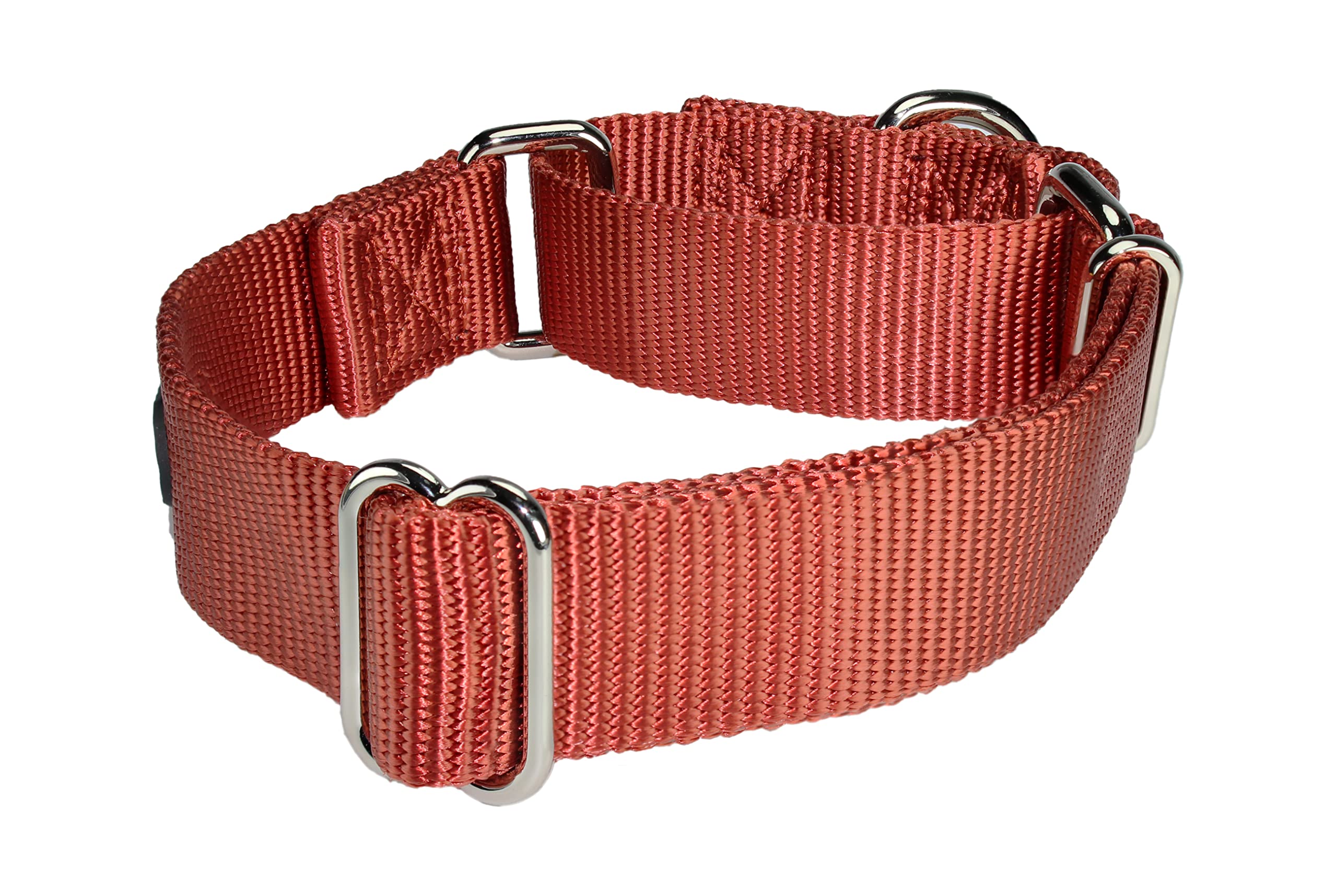 Mikivery Martingale dog collar brick red worn by dog for everyday comfort