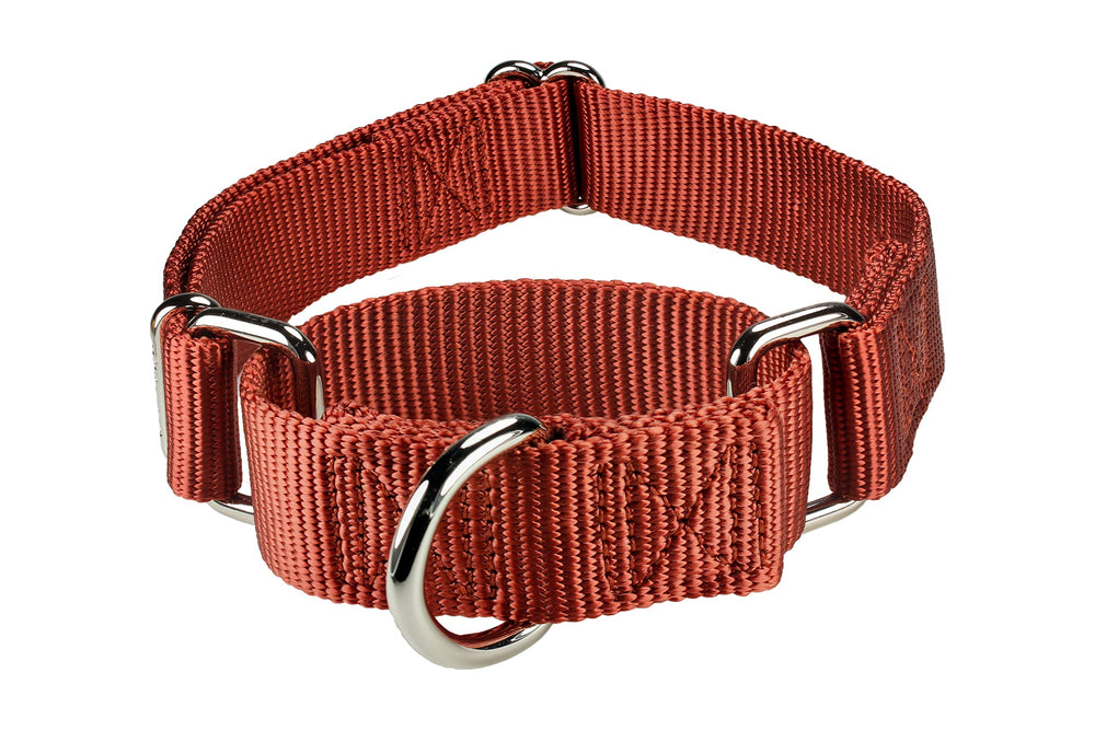 Mikivery Martingale brick red training use demonstrates gentle control during walks