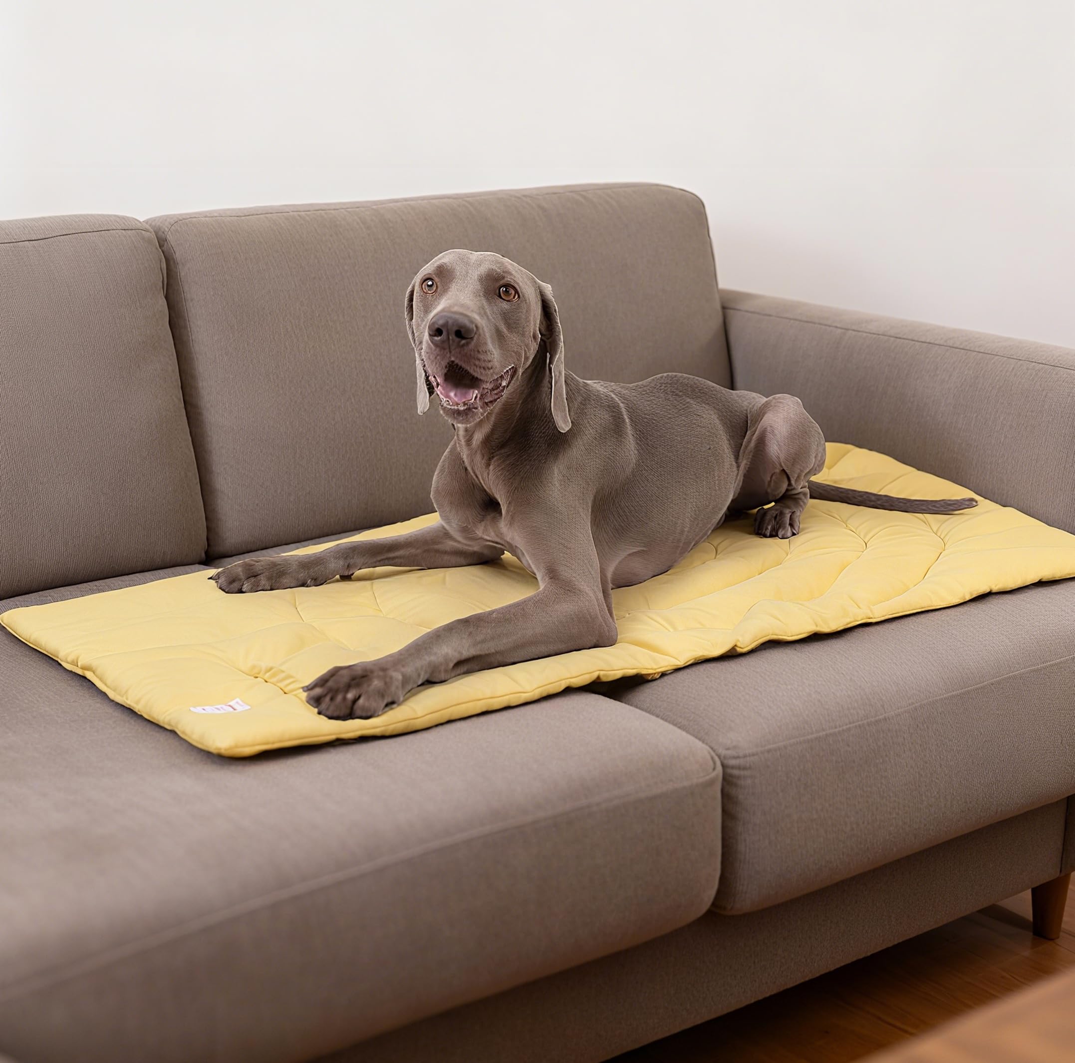 MikooMikoo dog travel mat yellow bullseye design aids training sessions.