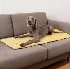 MikooMikoo dog travel mat yellow bullseye design aids training sessions.