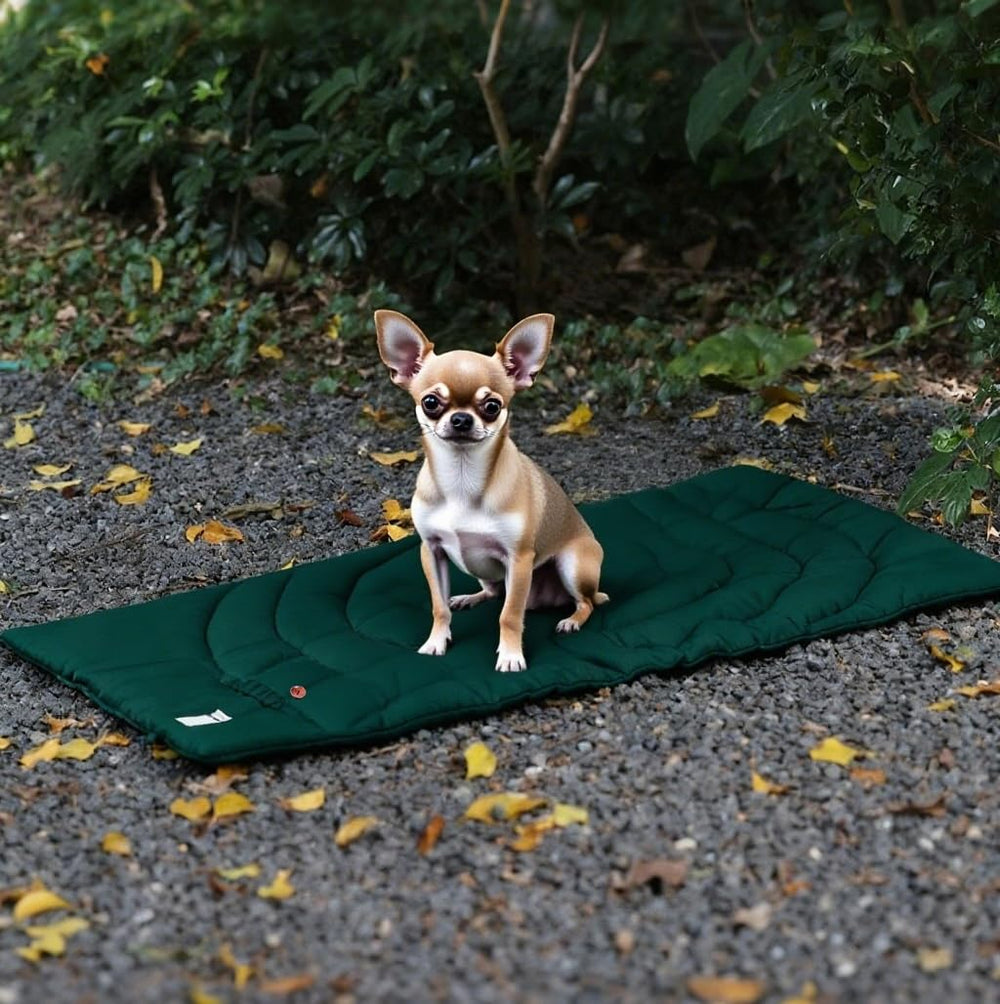 MikooMikoo dog travel mat yellow wipe-clean surface after adventures.