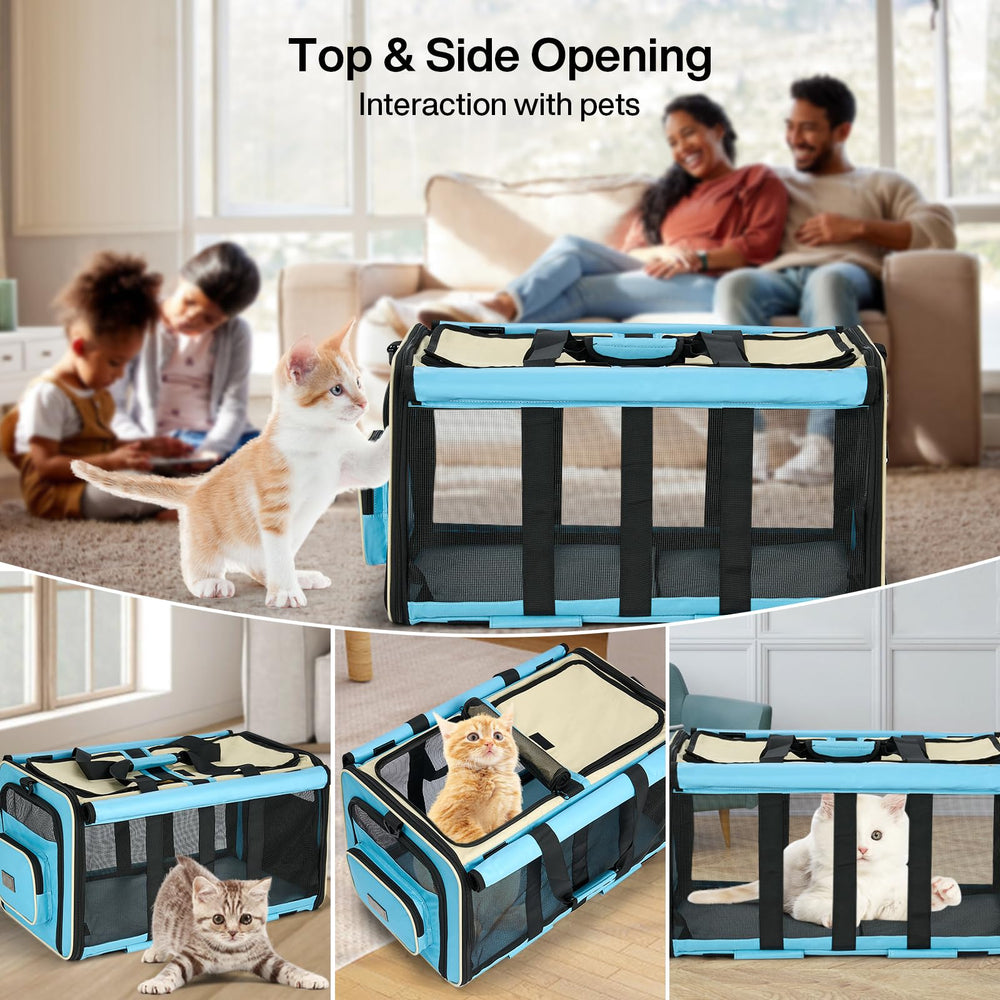 MILADA removable divider expands interior for extra pet space on trips.