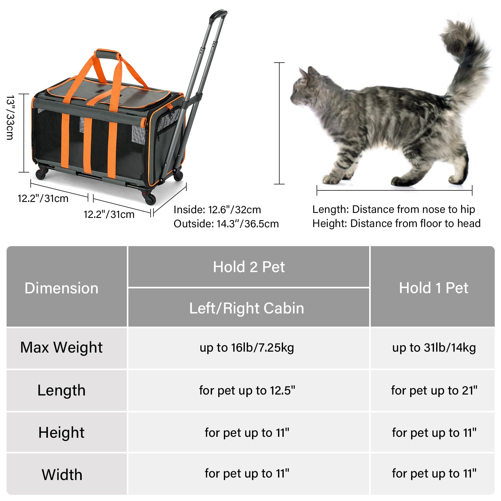 MILADA large cat carrier double-compartment demonstrates two-cat setup with divider for sharing space.