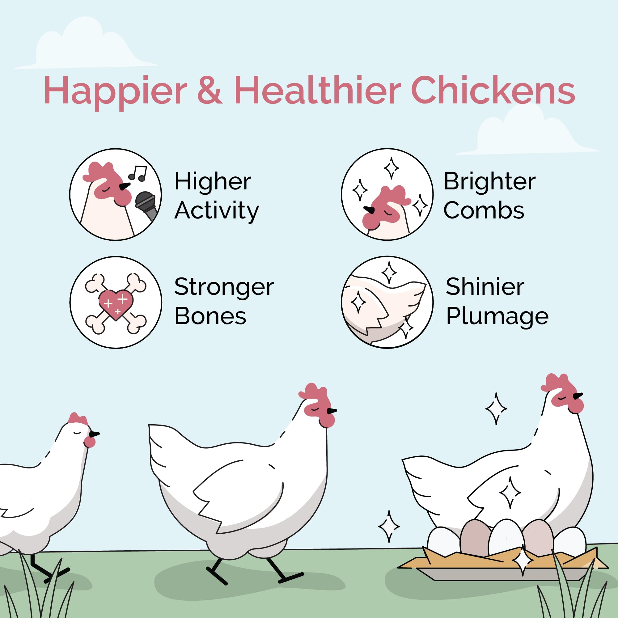 Mile Four Organic Chicken Feed 18% protein close-up supports healthy growth and steady egg production