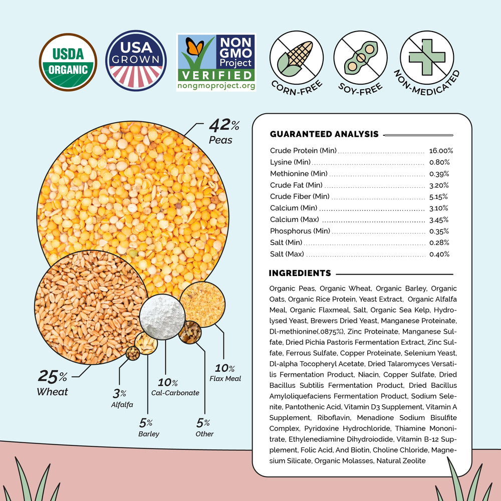 Mile Four Organic Chicken Feed corn-free soy-free image emphasizing clean ingredients for healthier flocks.