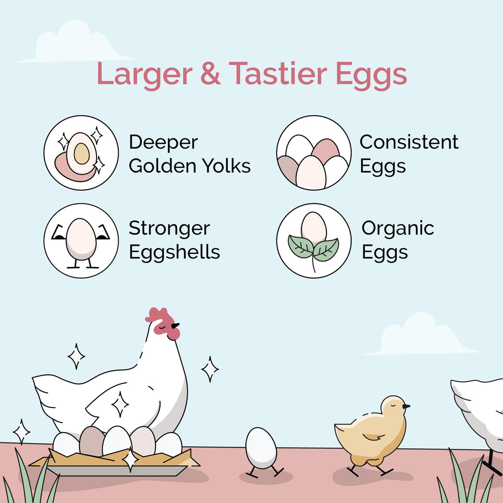 Mile Four Organic Chicken Feed non-GMO bags emphasizing corn-free, soy-free formulation.