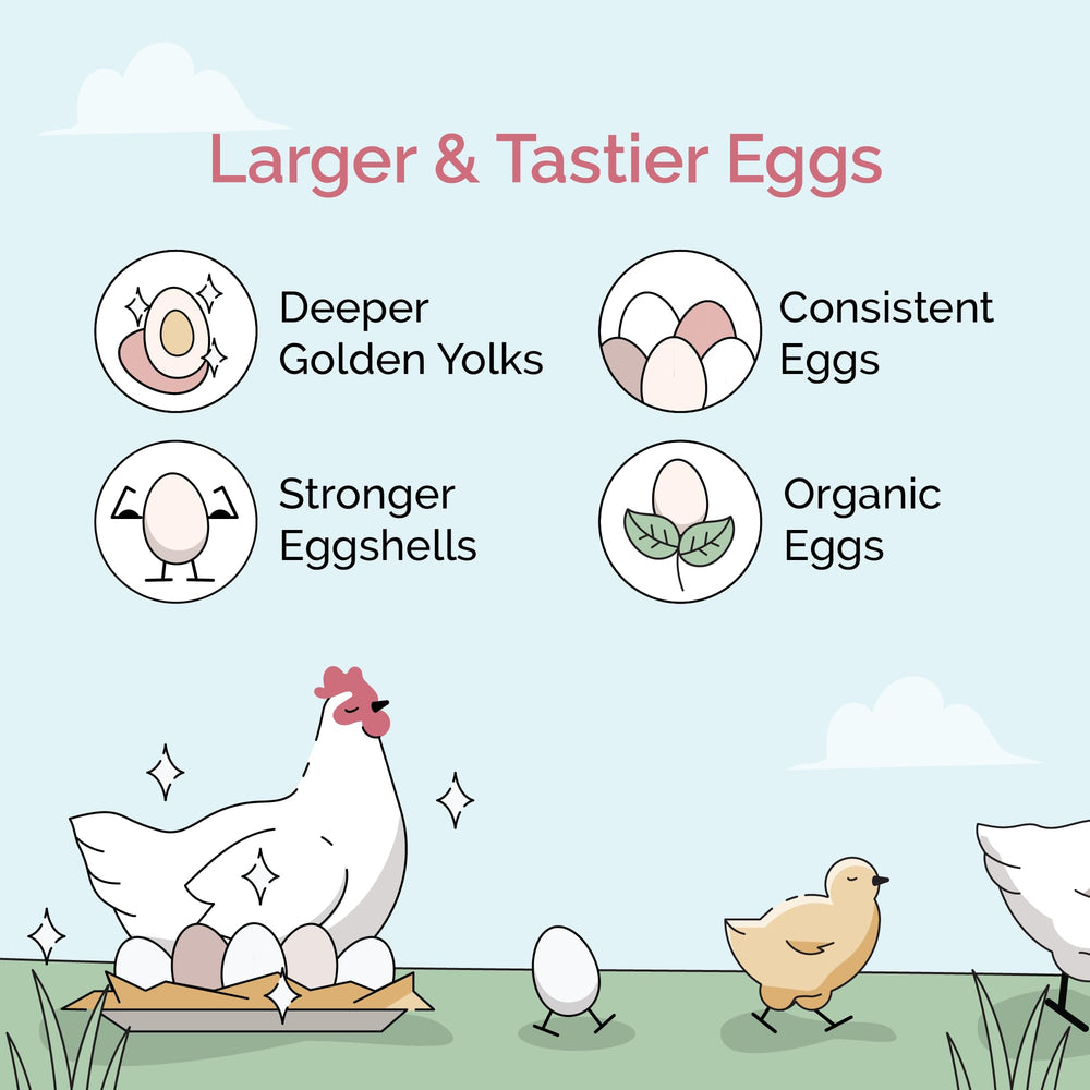 Mile Four Organic Chicken Feed is USA grown on family farms for local sourcing