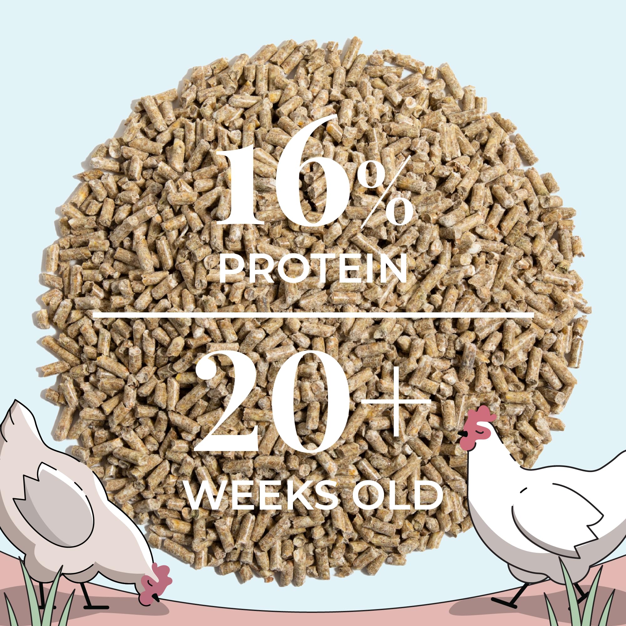 Mile Four organic whole grain texture image suggesting visual appeal for picky eaters.
