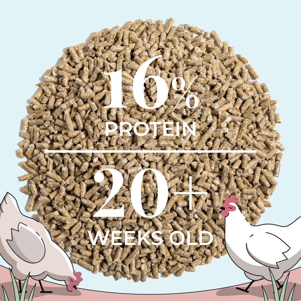 Mile Four organic whole grain texture image suggesting visual appeal for picky eaters.