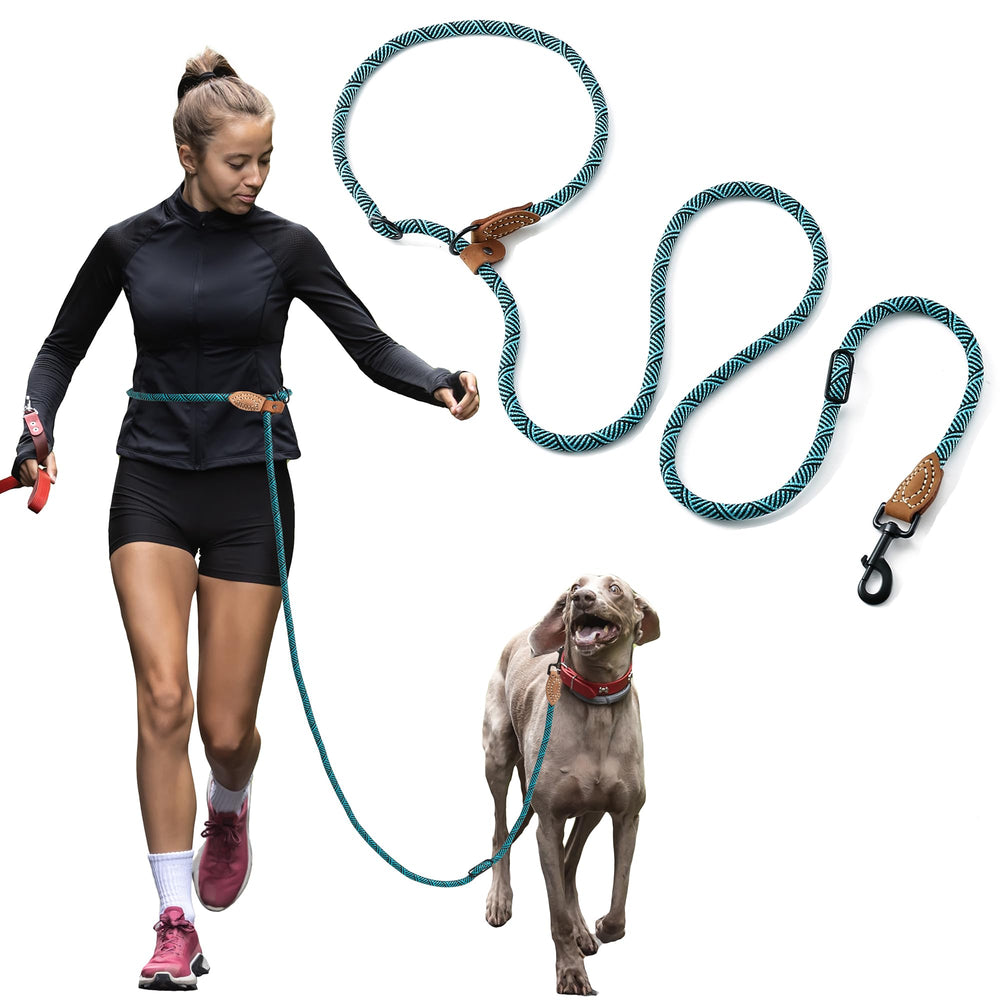 Mile High Life 360 swivel clasp prevents leash twisting during energetic runs