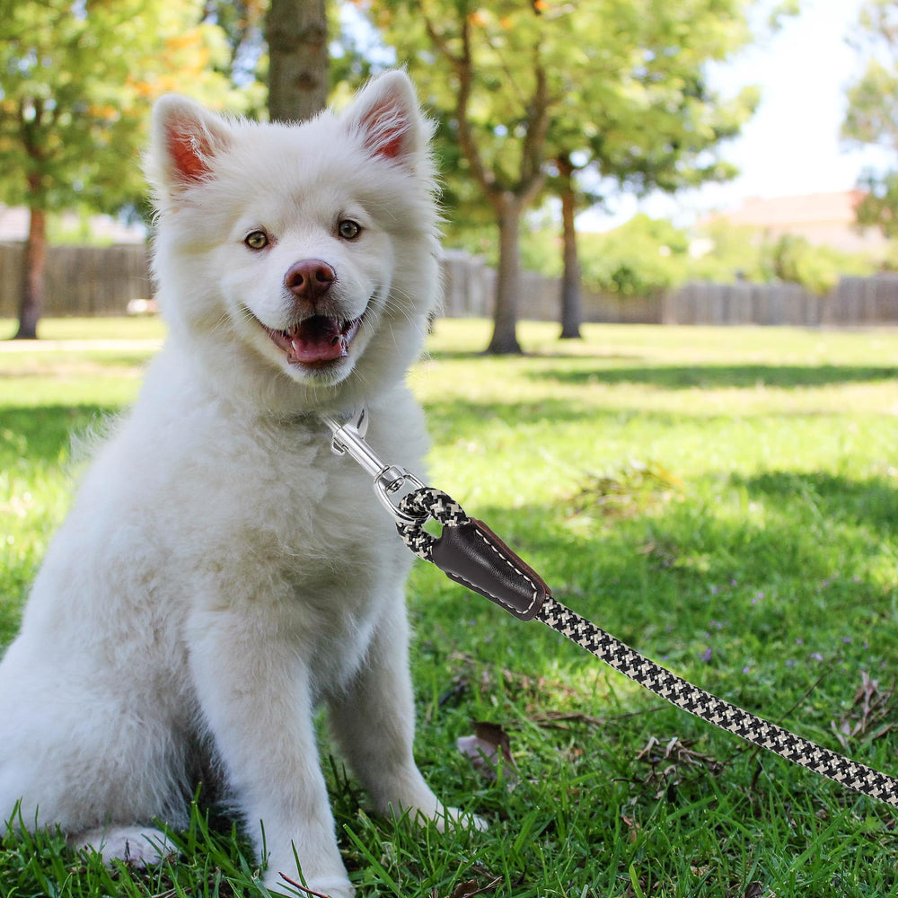 Mile High Life black khaki colorway leash blends style with versatility