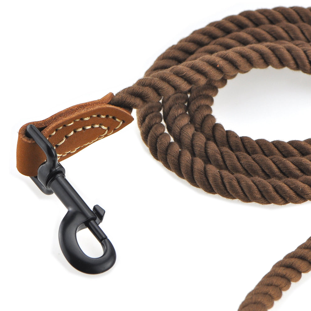 Mile High Life dog leash color options photo-ready style and daily usability.