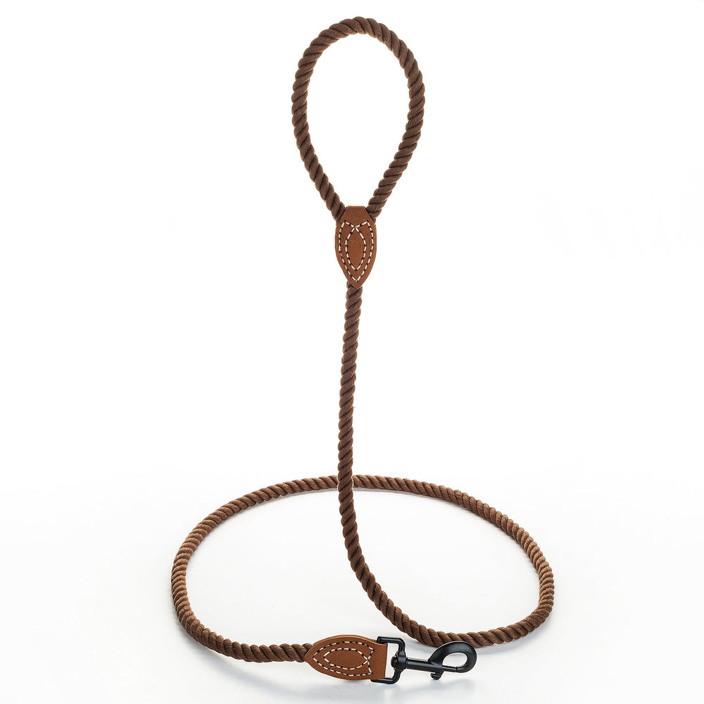 Mile High Life dog leash heavy-duty clasp close-up showing secure connection.