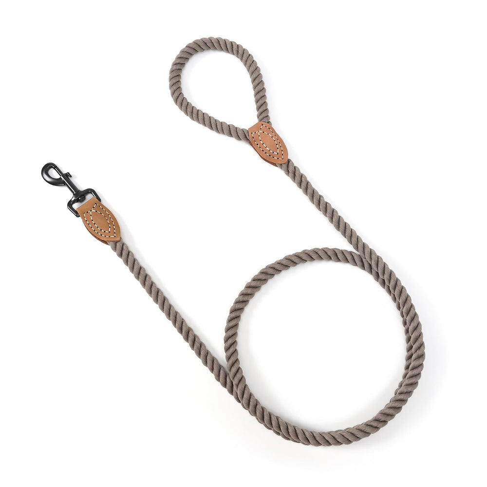 Mile High Life dog leash wedding-friendly design suits photos and events.