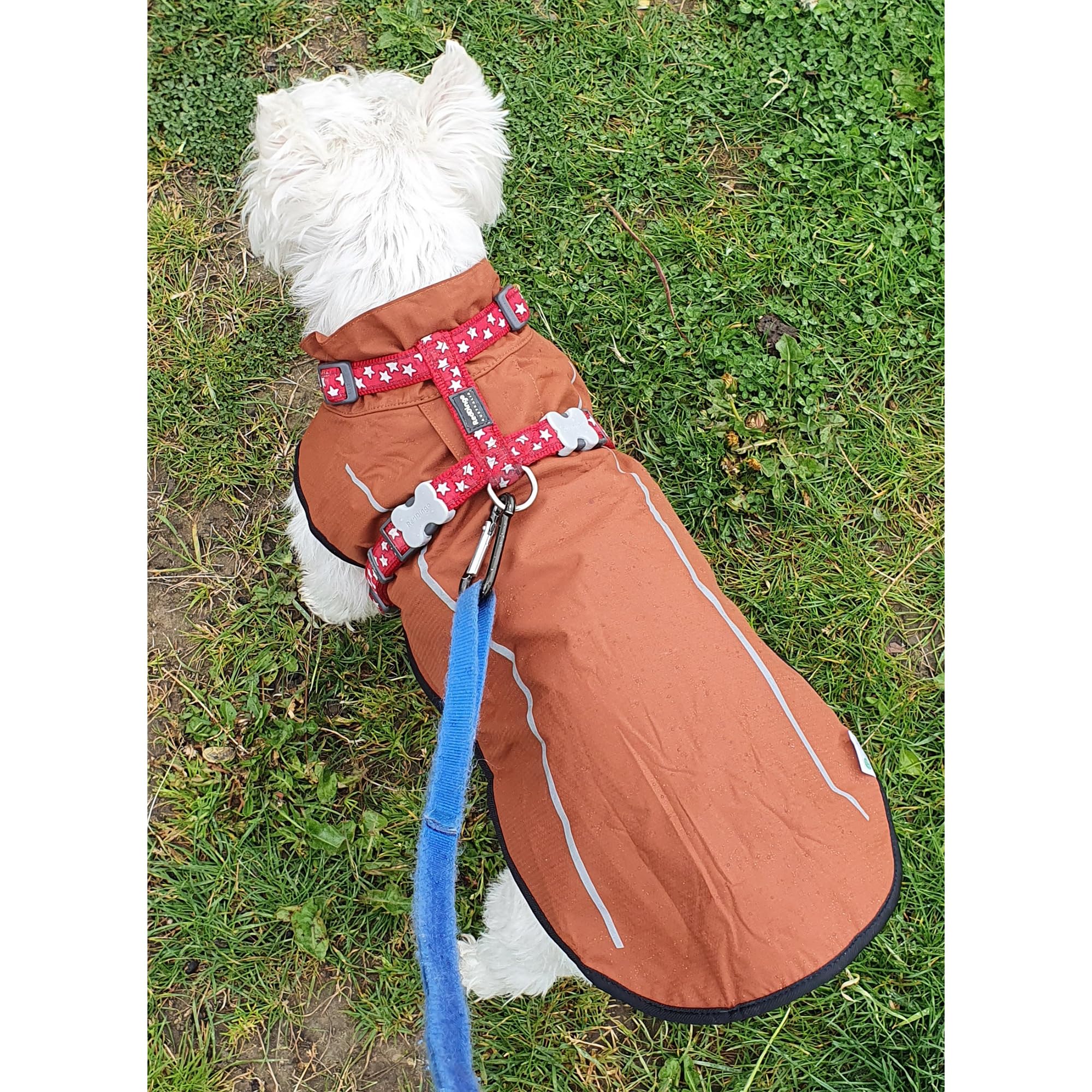Mile High Life dog raincoat dog-hole-leash connection enables easy leash access.