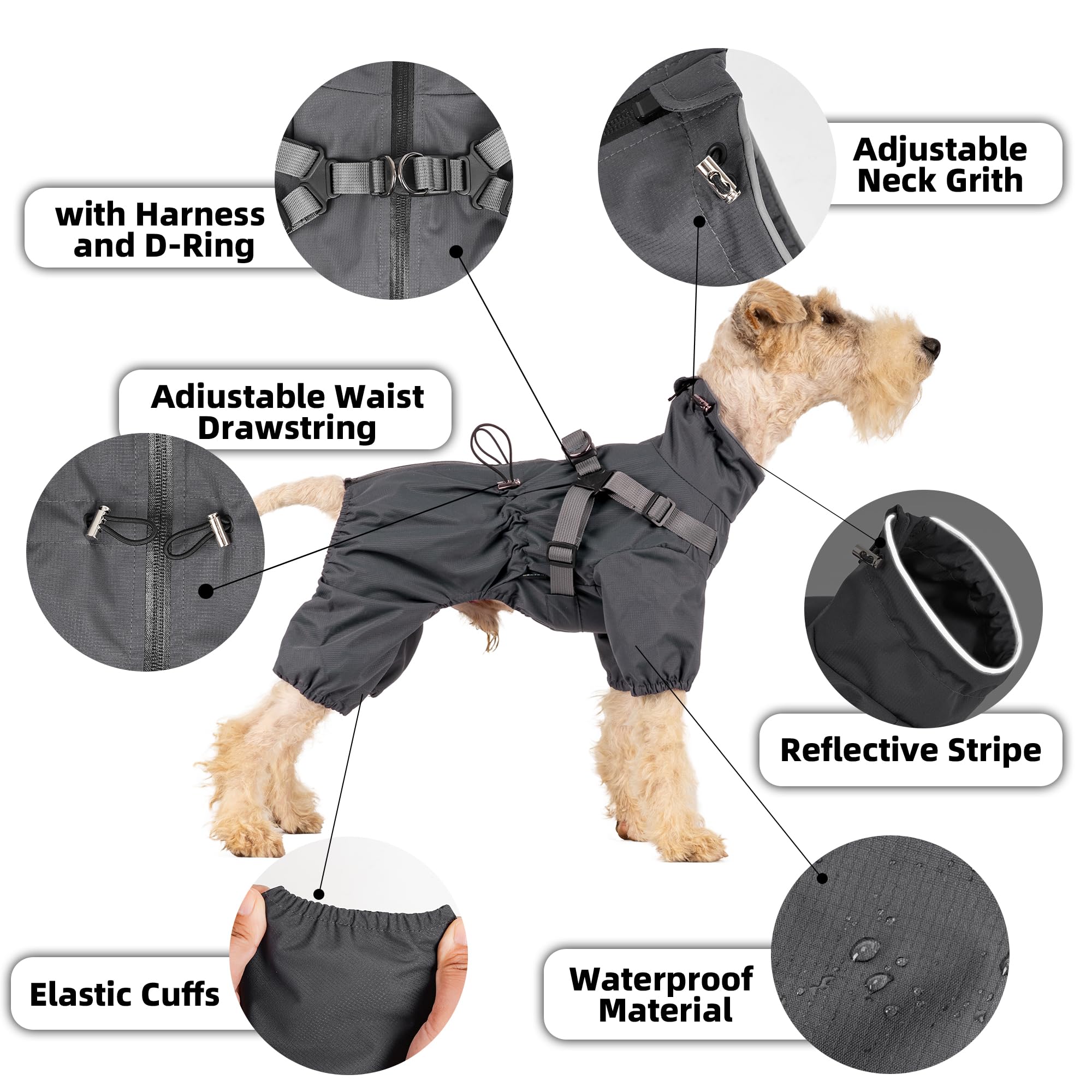 Mile High Life full-coverage four-leg design shields dogs from rain and splashes