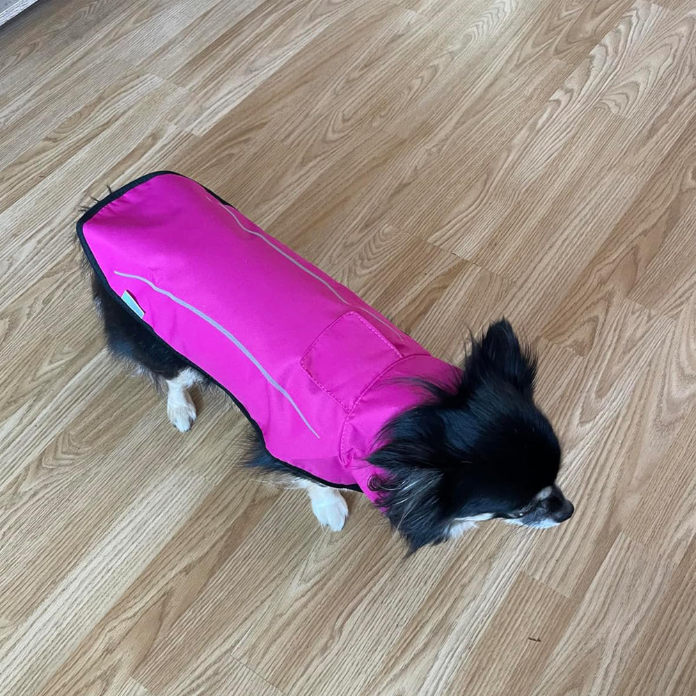 Mile High Life packaging and color pop display highlights premium-quality dog raincoat