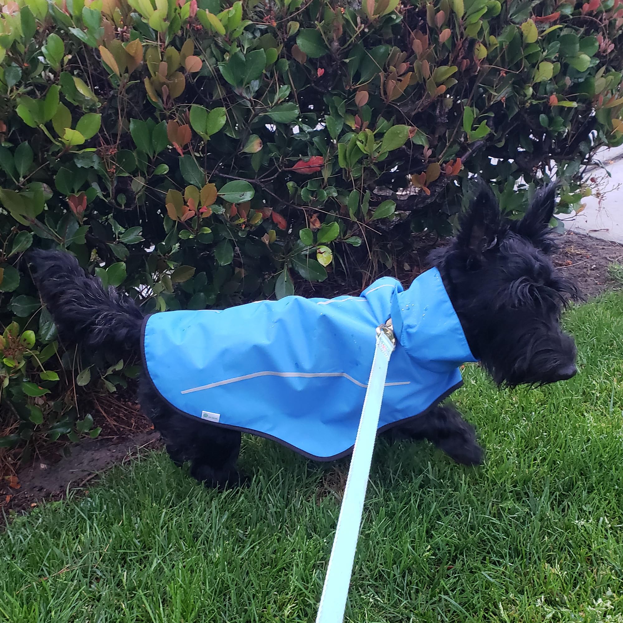 Mile High Life inner cotton mesh lining adds soft comfort in damp weather.