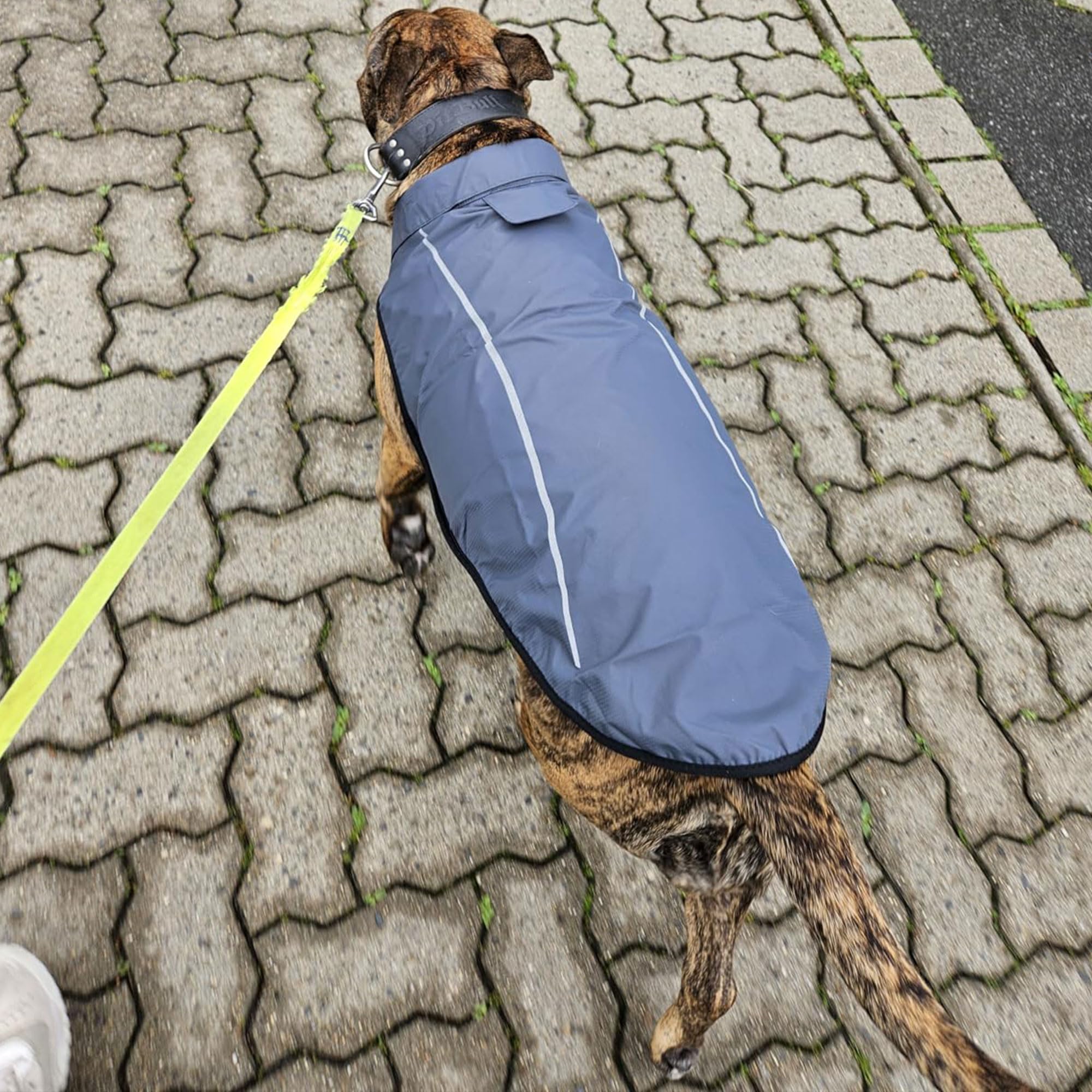 Mile High Life raincoat leash hole detail for collar leash connection