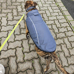 Mile High Life raincoat leash hole detail for collar leash connection