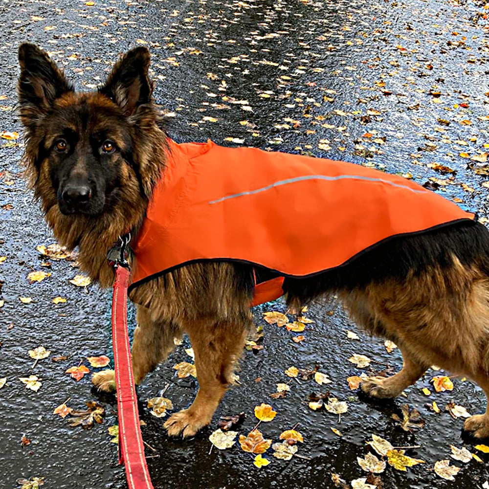Mile High Life raincoat with reflective stripe improves nighttime visibility.