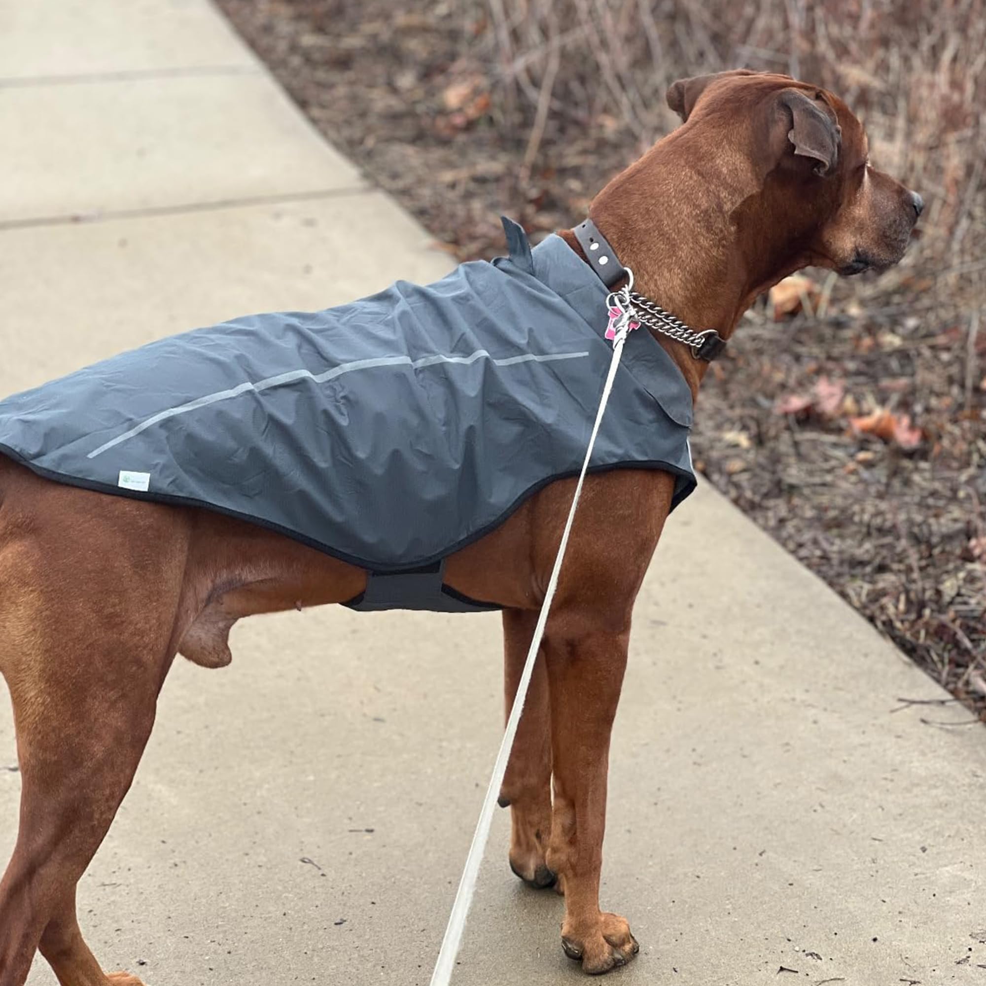 Mile High Life dog raincoat packaging ready for gift-ready presentation