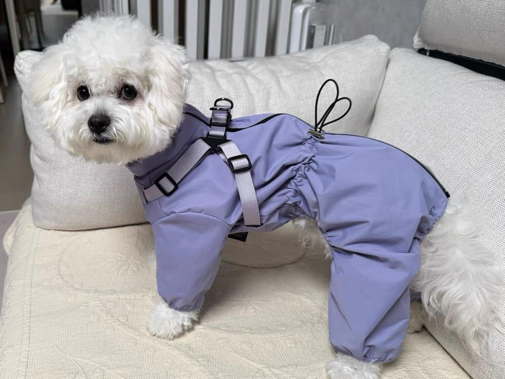 Mile High Life purple raincoat provides stylish protection for small dogs outdoors
