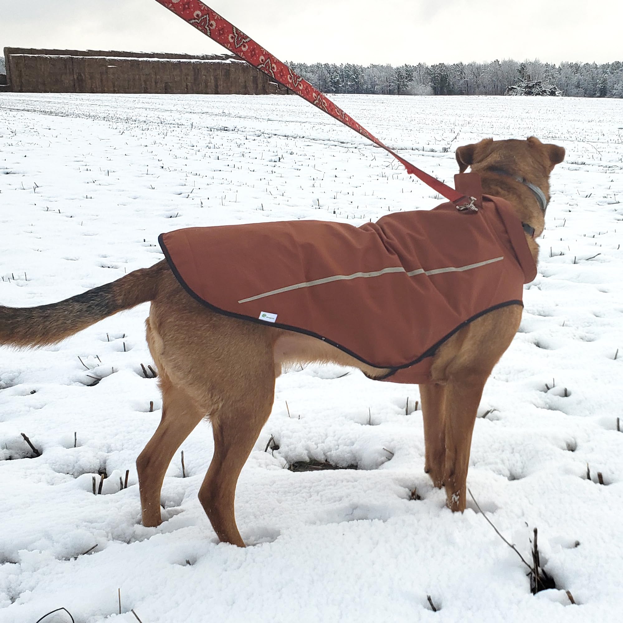 Mile High Life dog raincoat reflective-stripe boosts visibility at night walks.