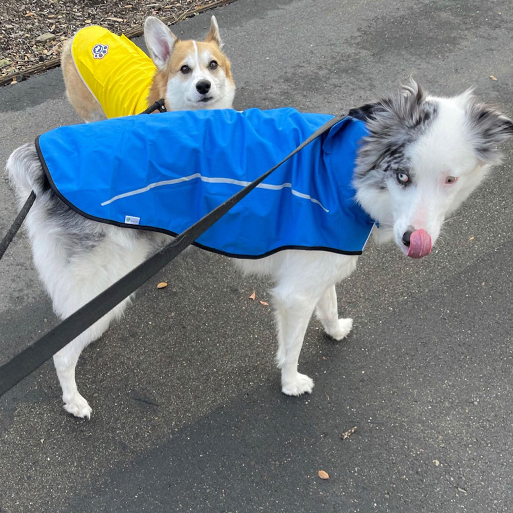 Mile High Life dog raincoat reflective stripe close-up enhances visibility during low light.