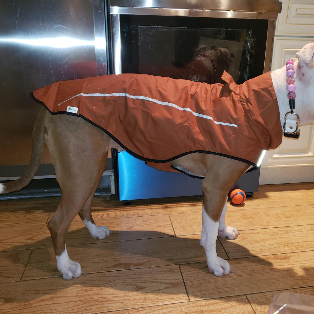 Mile High Life dog raincoat waterproof-breathable fabric keeps dogs dry in rain.