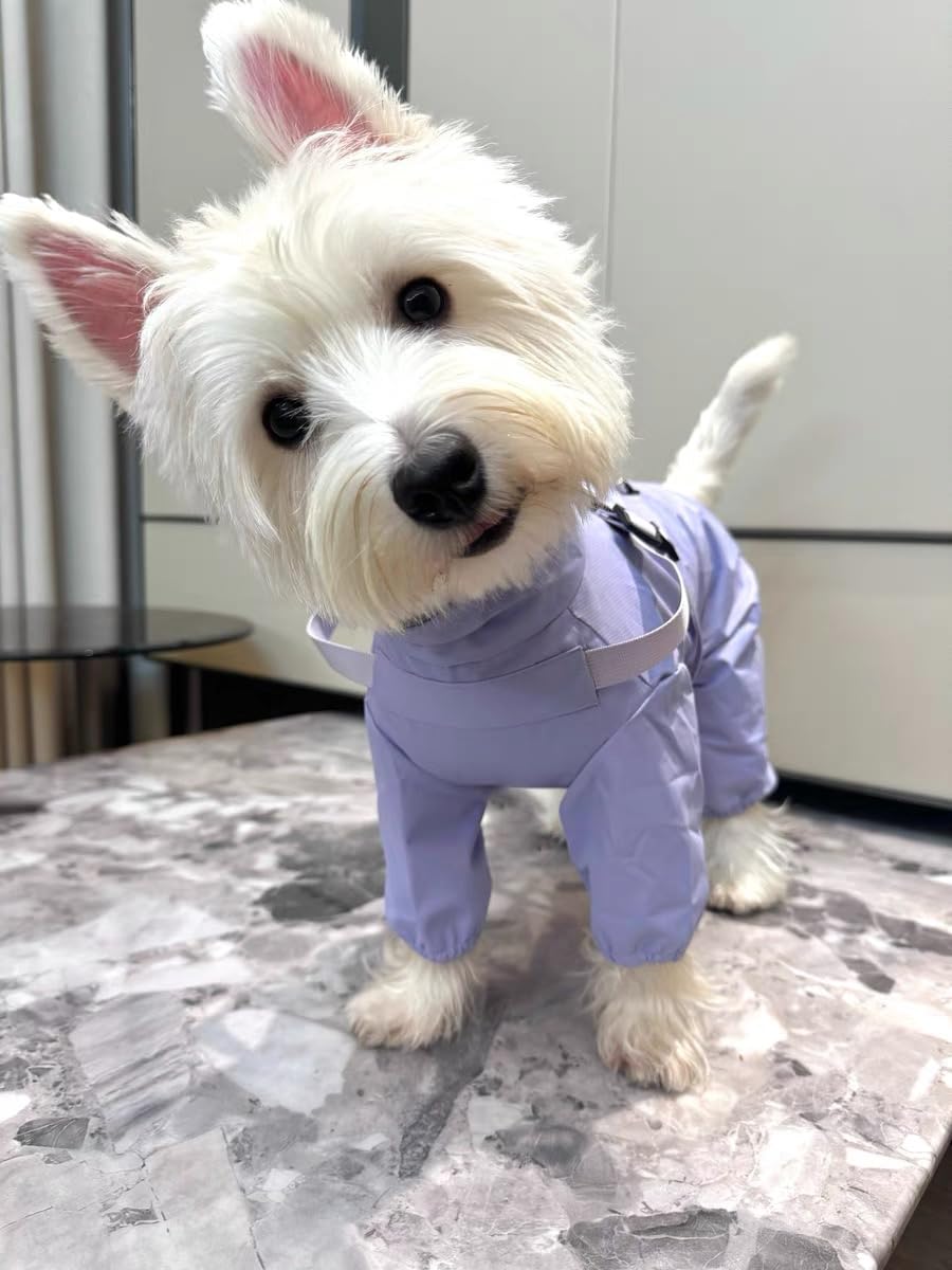 Mile High Life waterproof fabric protects against rain while keeping your dog comfortable