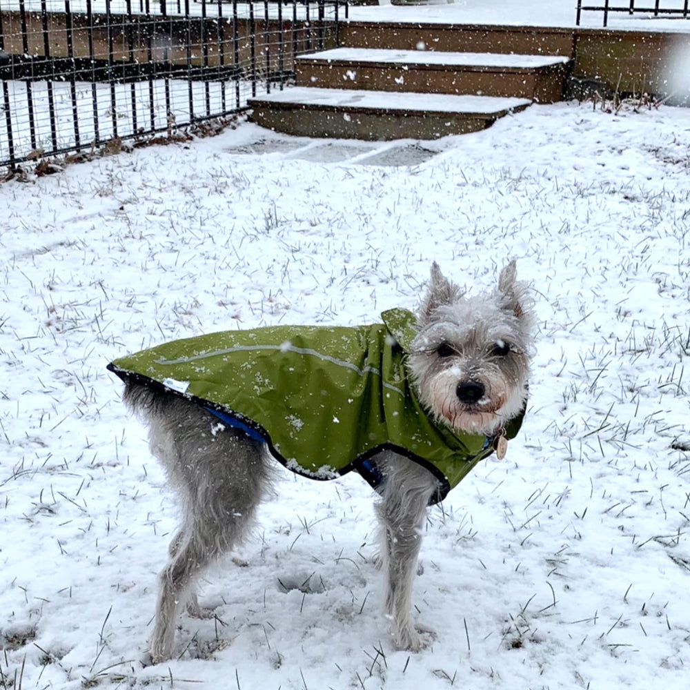 Mile High Life XXS size guide showing chest 16-19 inches
