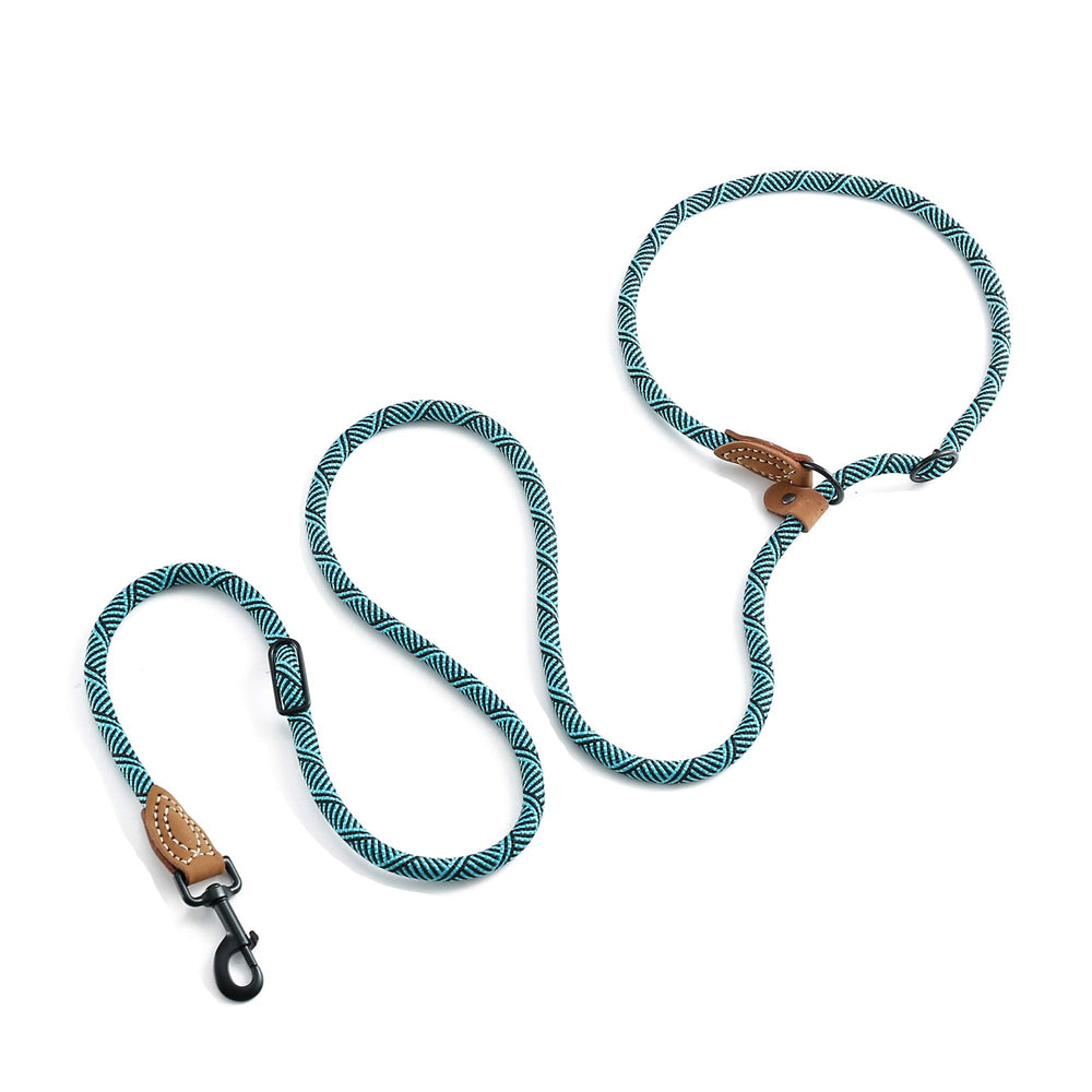 Mile High Life green color-leash ideal for everyday walks and outdoor adventures