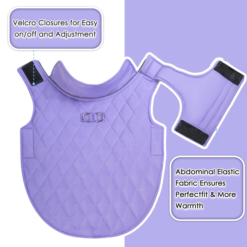 Mile High Life reflective stripe image enhances nighttime visibility for safer walks.