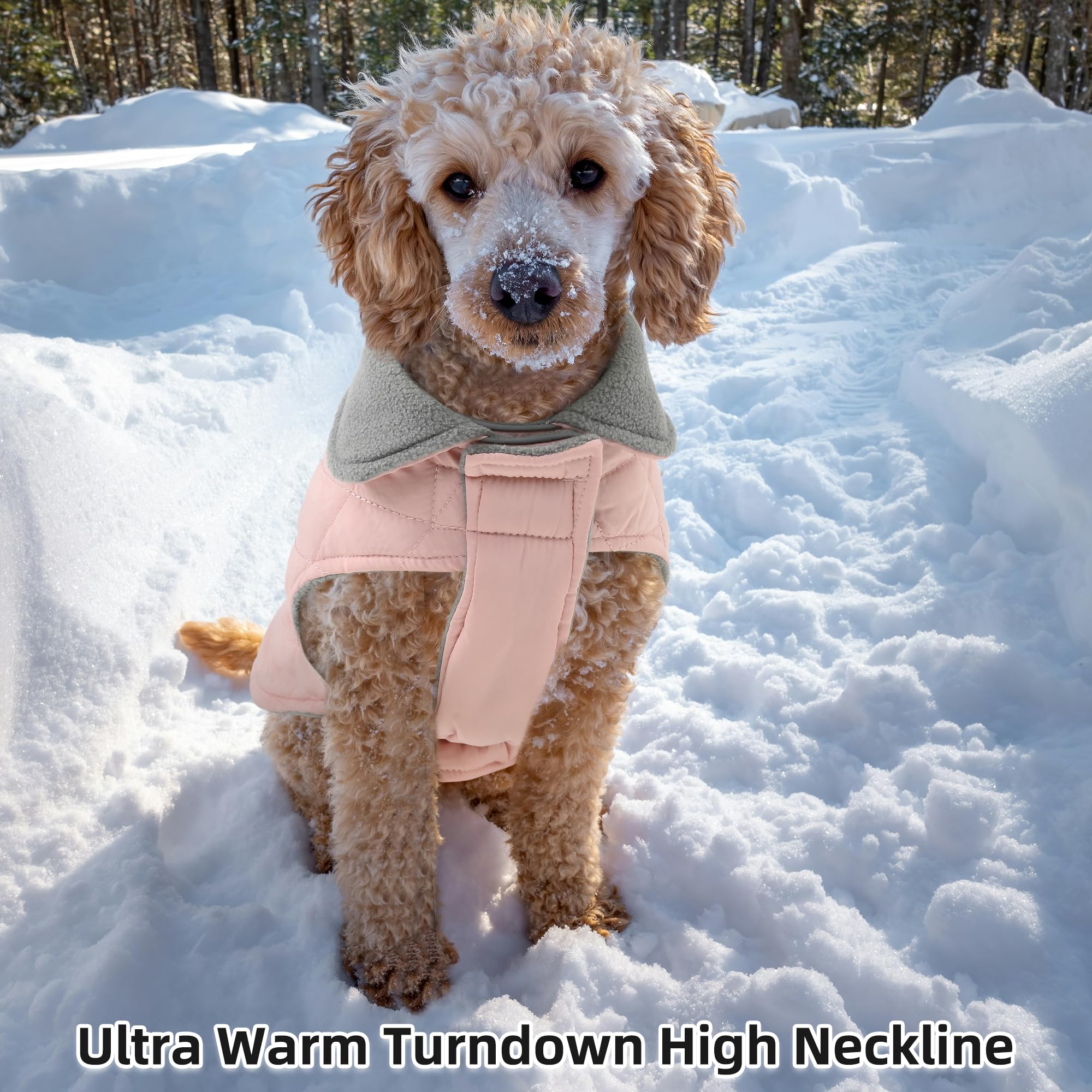 Mile High Life small-dog coat with size guidance for perfect fit.