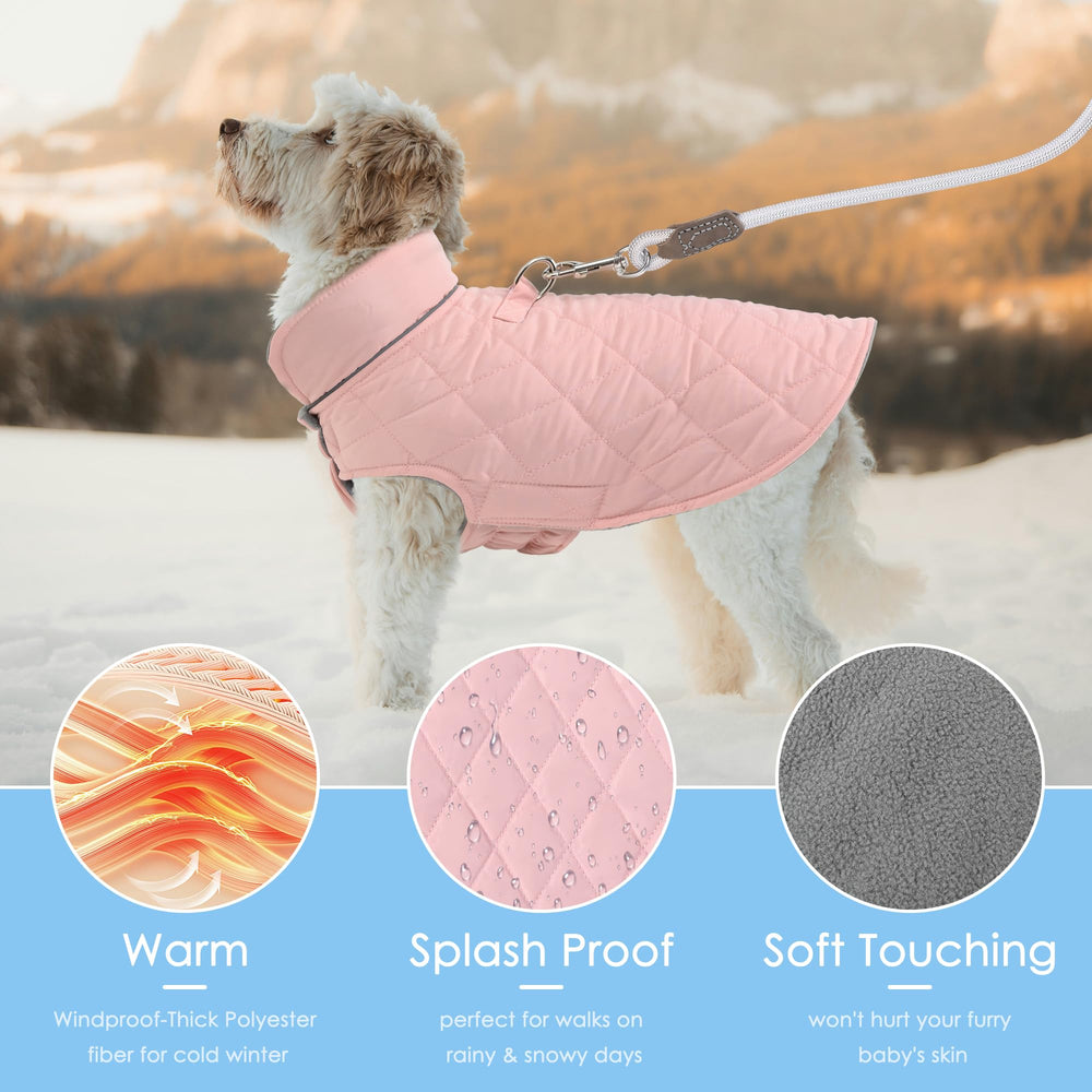 Mile High Life coat includes two D-rings for harness compatibility during walks.