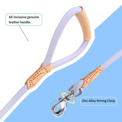 Mile High Life leash 360 swivel clasp close-up prevents twisting during walks.