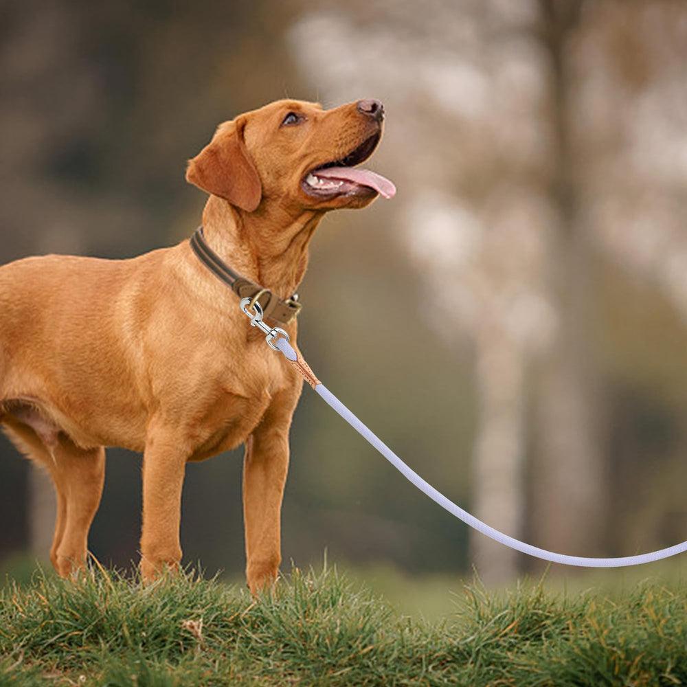 Mile High Life leash shows 72-inch length extended for versatile training.
