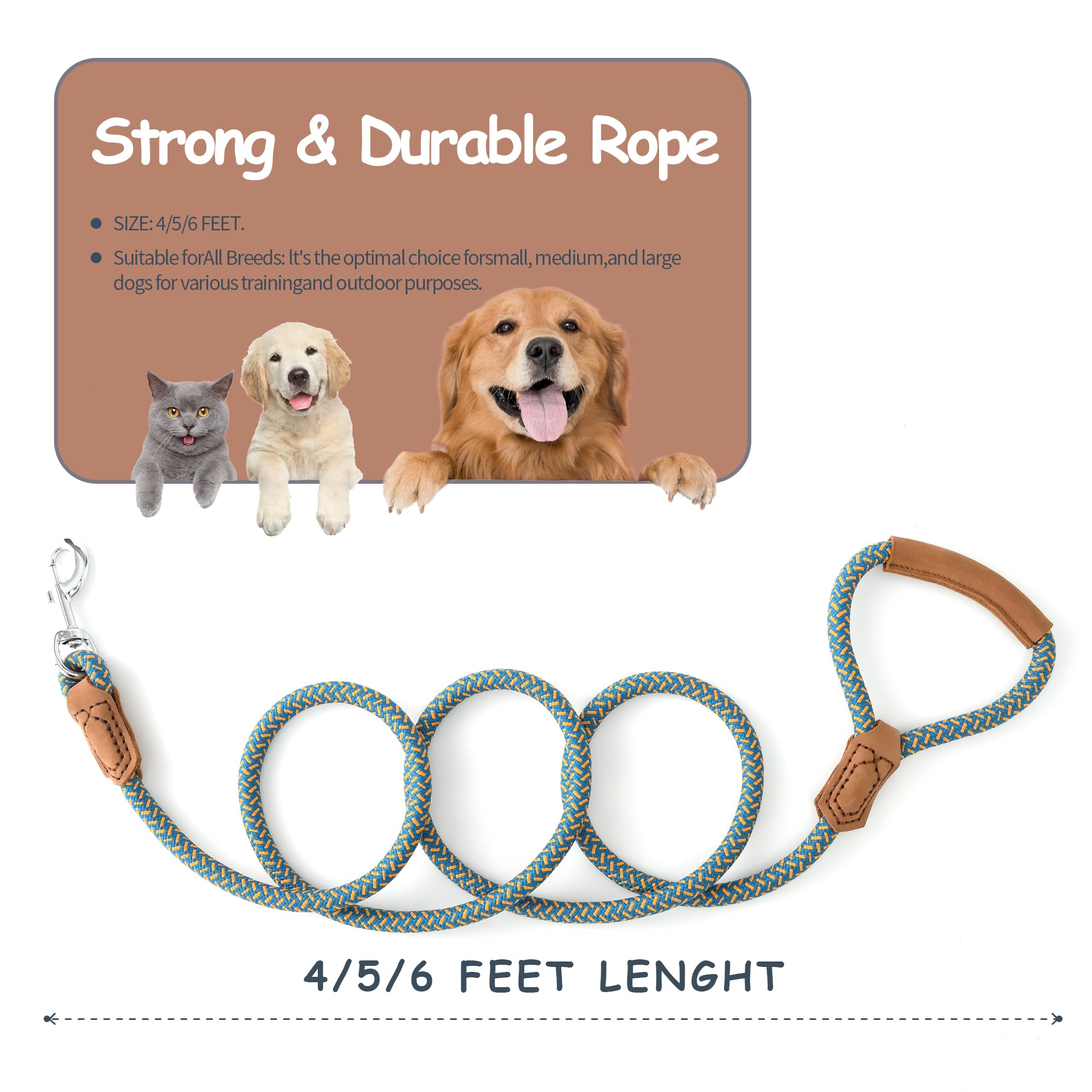 Mile High Life all-breed dogs leash illustrates versatility across dog sizes