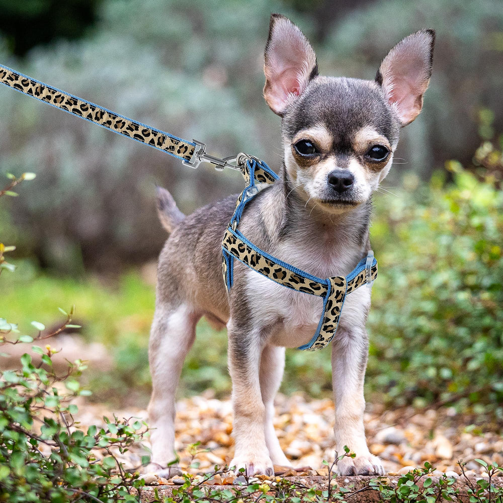 Mile High Life leopard harness blue safety feature closeup.