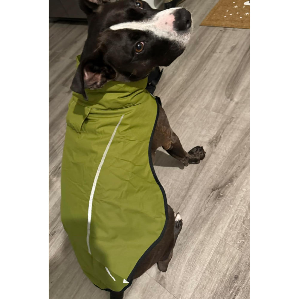 Mile High Life lime-yellow raincoat front view highlights high visibility design.