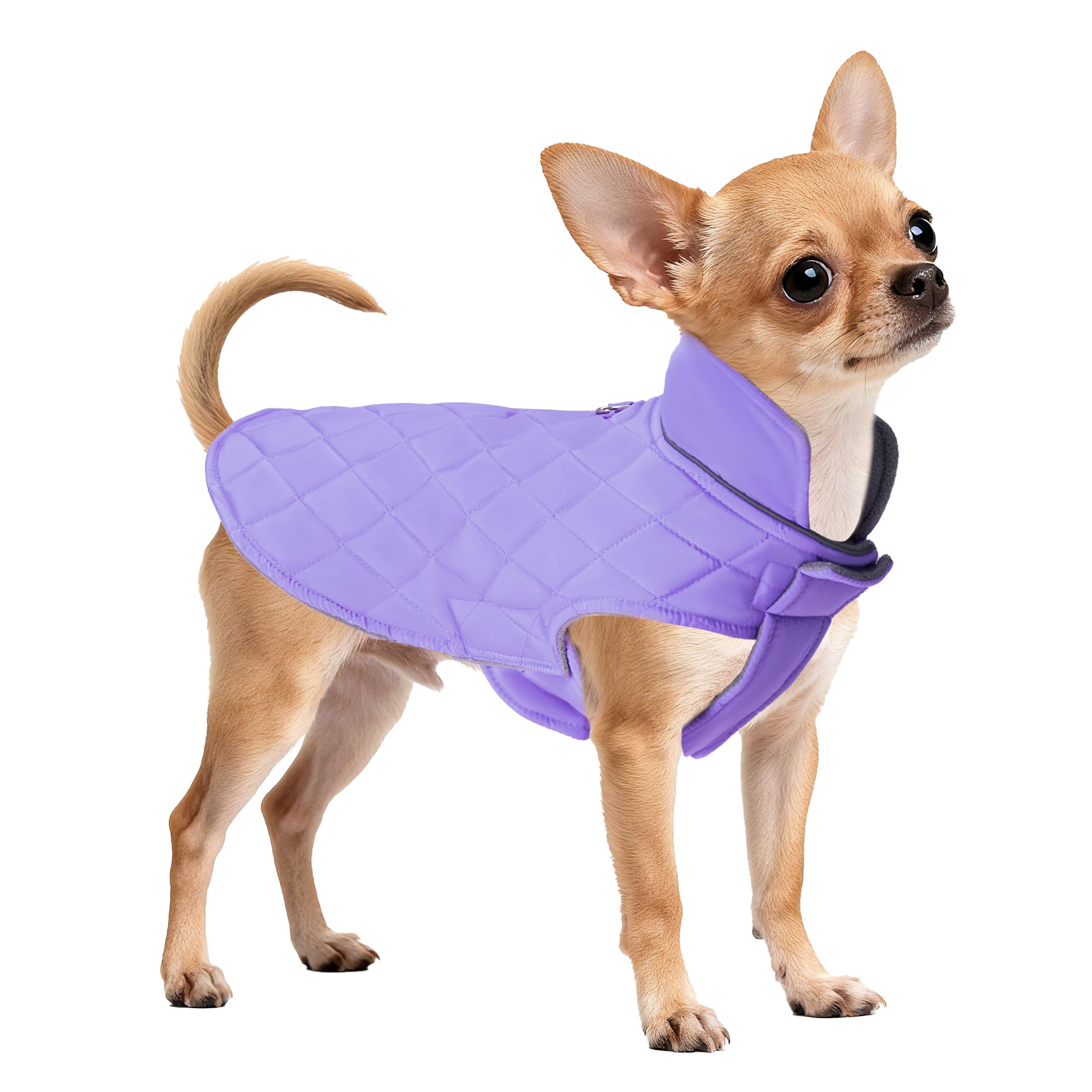 Mile High Life small-size coat image guides Chihuahua and Yorkie sizing for precise fit.