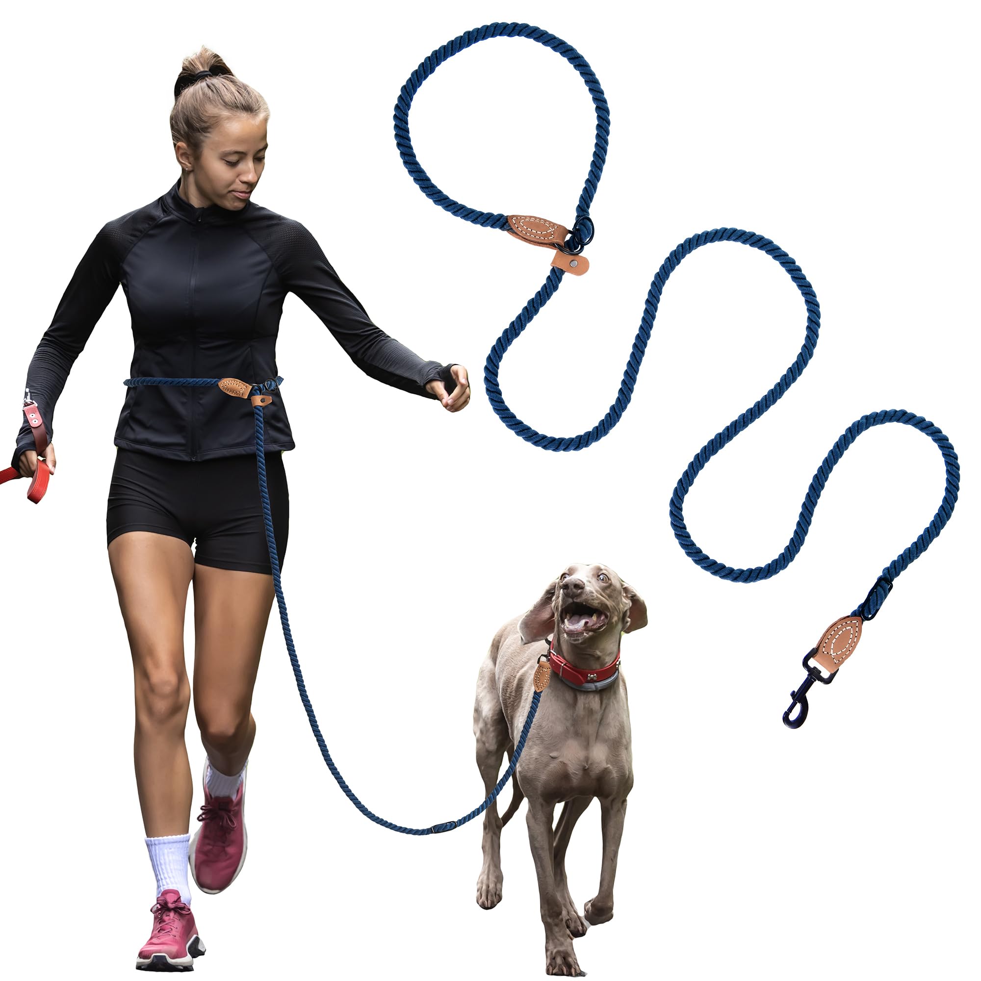 Mile High Life 8-in-1 design supports one-hand control of two dogs.