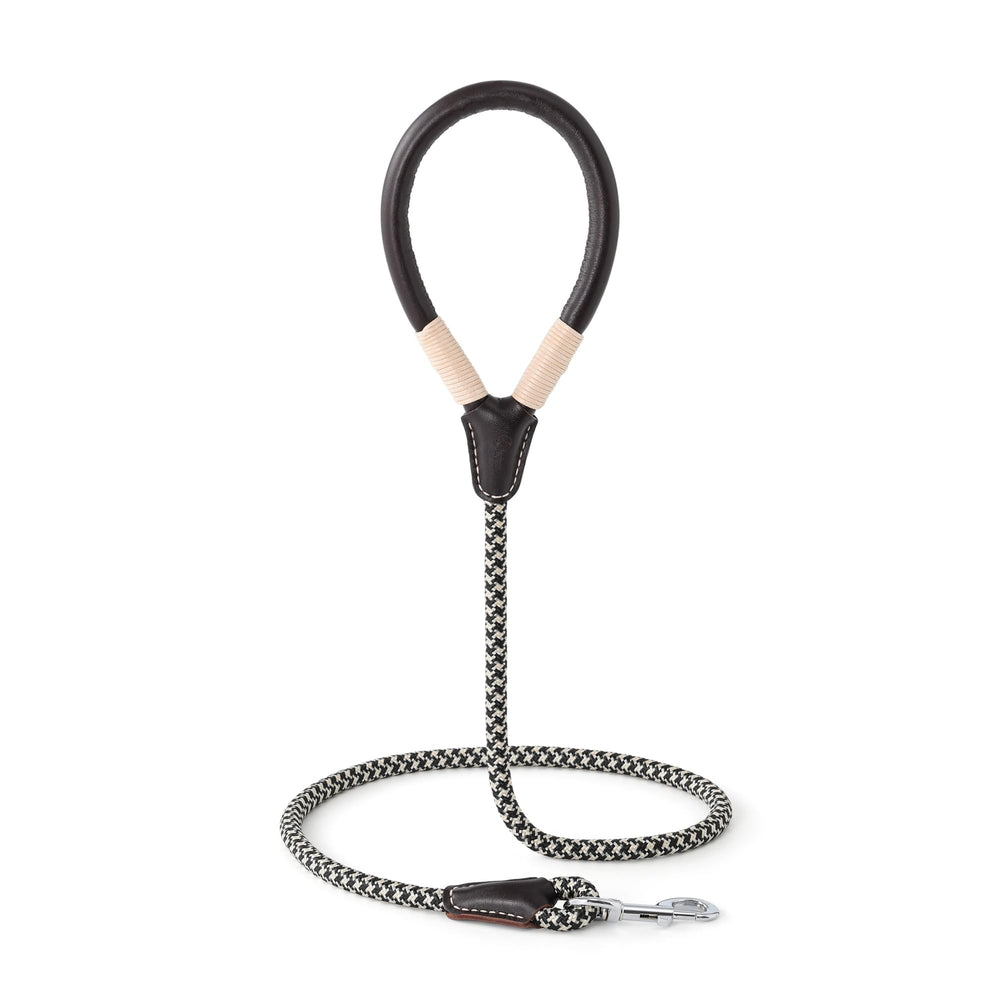 Mile High Life weather-resistant leash designed for year-round walks