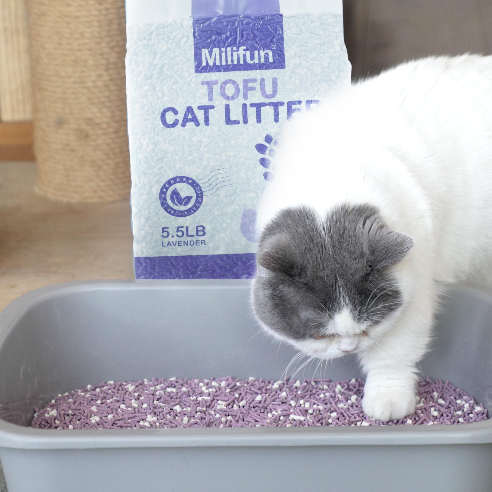 MILIFUN Tofu Cat Litter dust-free-tracking blocks litter spread across floors