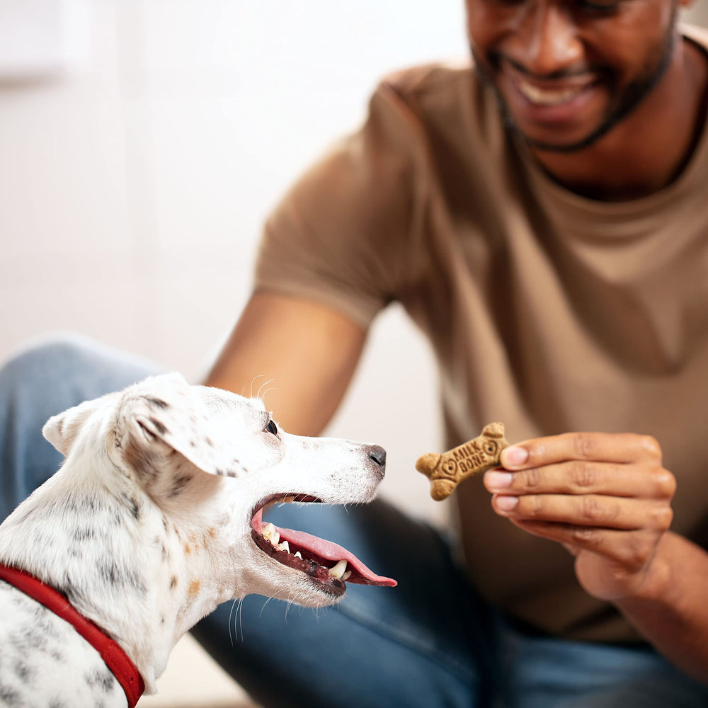 Milk-Bone Flavor Snacks packaging showing seven-pound box for small dogs