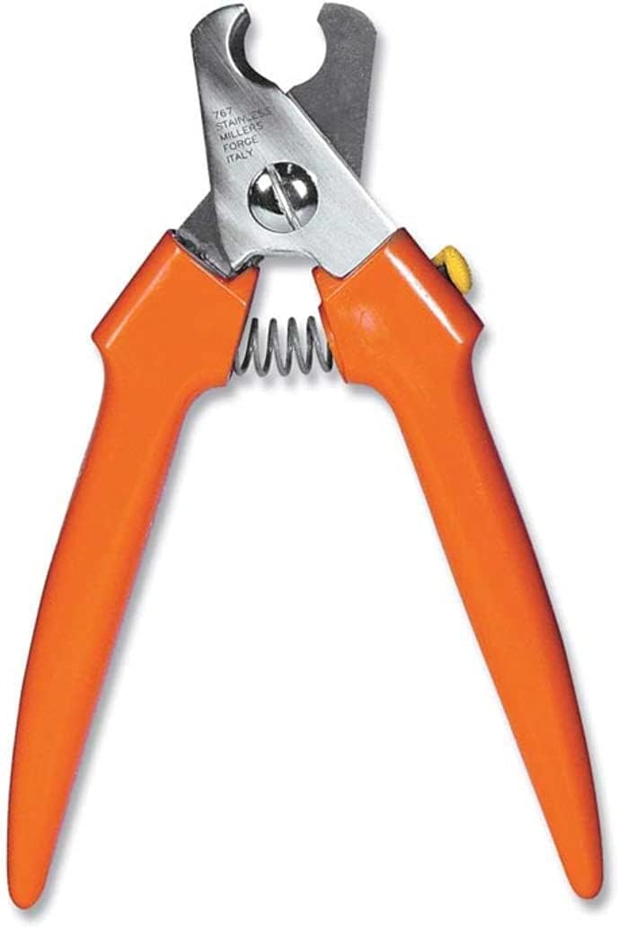 Millers Forge professional large nail clipper 767C in use for smooth, confident paw grooming.