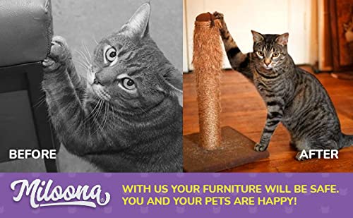 Miloona fits all cat breeds and sizes for universal protection.