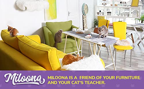 Miloona unobtrusive protection keeps living spaces tidy and distraction-free.